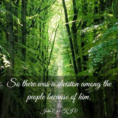 Picture 03 - John 7:43 KJV - So there was a division among the people because - Bible Verse Picture