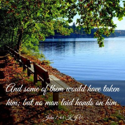 Picture 03 - John 7:44 KJV - And some of them would have taken him; but no man - Bible Verse Picture