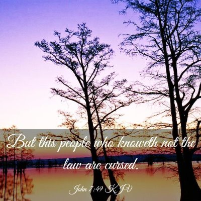 Picture 03 - John 7:49 KJV - But this people who knoweth not the law are - Bible Verse Picture