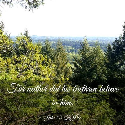 Picture 03 - John 7:5 KJV - For neither did his brethren believe in - Bible Verse Picture