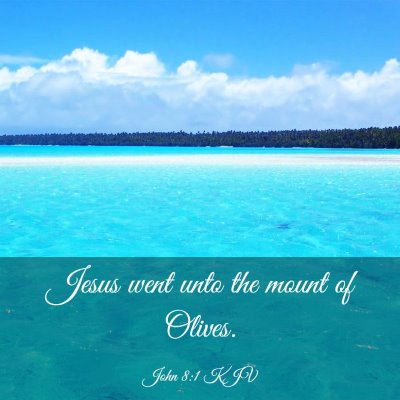 Picture 03 - John 8:1 KJV - Jesus went unto the mount of - Bible Verse Picture