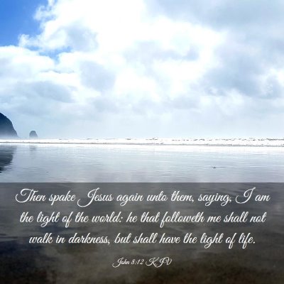Picture 03 - John 8:12 KJV - Then spake Jesus again unto them, saying, I am - Bible Verse Picture