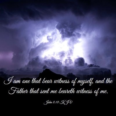 Picture 03 - John 8:18 KJV - I am one that bear witness of myself, and the - Bible Verse Picture