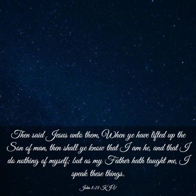 Picture 03 - John 8:28 KJV - Then said Jesus unto them, When ye have lifted up - Bible Verse Picture