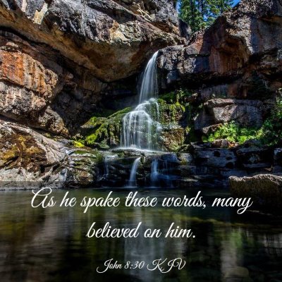Picture 03 - John 8:30 KJV - As he spake these words, many believed on - Bible Verse Picture