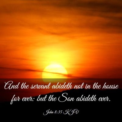 Picture 03 - John 8:35 KJV - And the servant abideth not in the house for - Bible Verse Picture