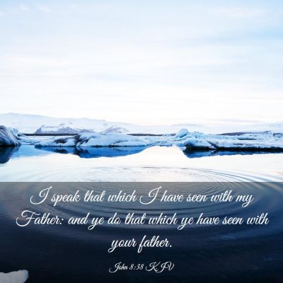 Picture 03 - John 8:38 KJV - I speak that which I have seen with my Father: - Bible Verse Picture