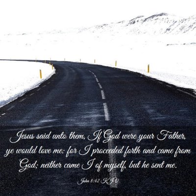 Picture 03 - John 8:42 KJV - Jesus said unto them, If God were your Father, ye - Bible Verse Picture