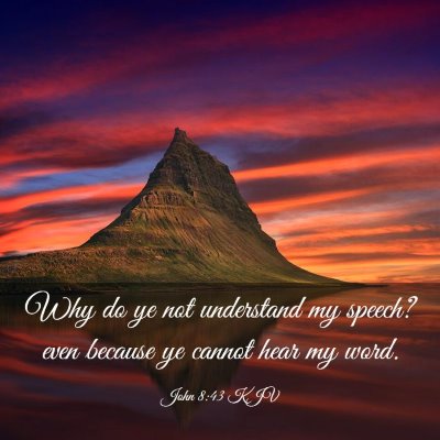 Picture 03 - John 8:43 KJV - Why do ye not understand my speech? even because - Bible Verse Picture