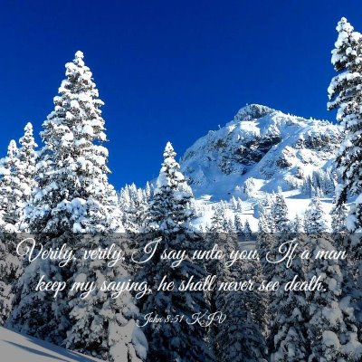 Picture 03 - John 8:51 KJV - Verily, verily, I say unto you, If a man keep my - Bible Verse Picture