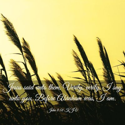 Picture 03 - John 8:58 KJV - Jesus said unto them, Verily, verily, I say unto - Bible Verse Picture