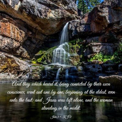 Picture 03 - John 8:9 KJV - And they which heard it, being convicted by their - Bible Verse Picture