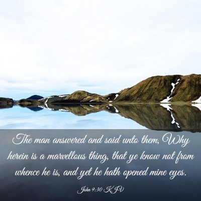 Picture 03 - John 9:30 KJV - The man answered and said unto them, Why herein - Bible Verse Picture