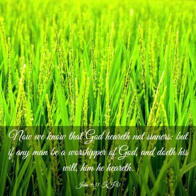 Picture 03 - John 9:31 KJV - Now we know that God heareth not sinners: but if - Bible Verse Picture