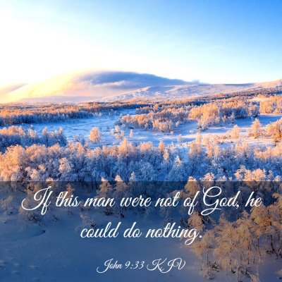 Picture 03 - John 9:33 KJV - If this man were not of God, he could do - Bible Verse Picture