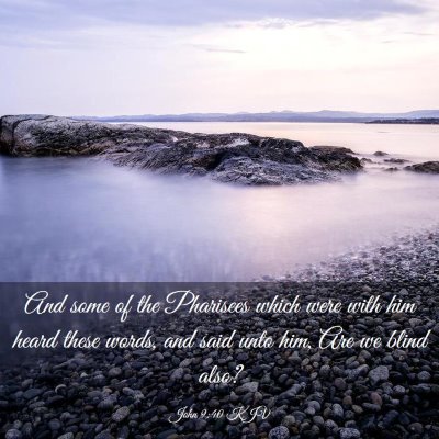Picture 03 - John 9:40 KJV - And some of the Pharisees which were with him - Bible Verse Picture