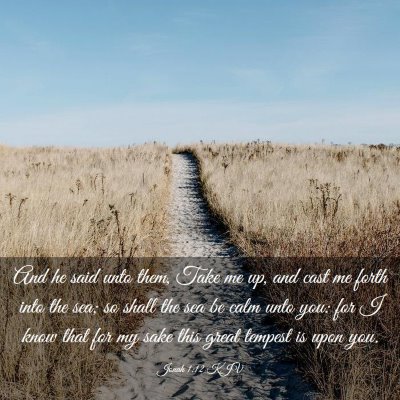 Picture 03 - Jonah 1:12 KJV - And he said unto them, Take me up, and cast me - Bible Verse Picture