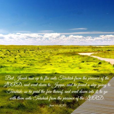 Picture 03 - Jonah 1:3 KJV - But Jonah rose up to flee unto Tarshish from the - Bible Verse Picture