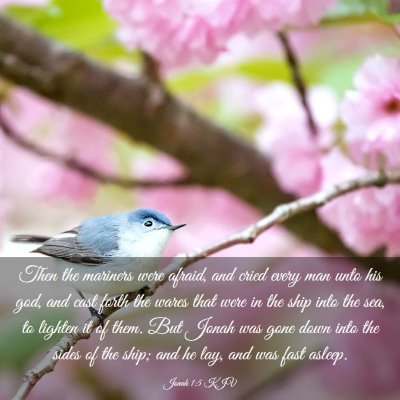 Picture 03 - Jonah 1:5 KJV - Then the mariners were afraid, and cried every - Bible Verse Picture