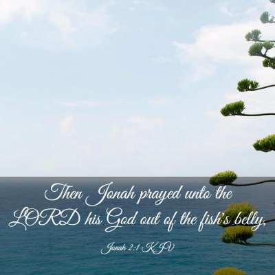 Picture 03 - Jonah 2:1 KJV - Then Jonah prayed unto the LORD his God out of - Bible Verse Picture