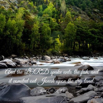 Picture 03 - Jonah 2:10 KJV - And the LORD spake unto the fish, and it vomited - Bible Verse Picture