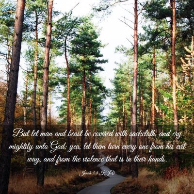 Picture 03 - Jonah 3:8 KJV - But let man and beast be covered with sackcloth, - Bible Verse Picture