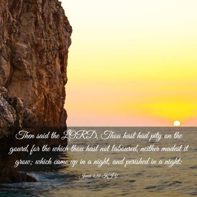 Picture 03 - Jonah 4:10 KJV - Then said the LORD, Thou hast had pity on the - Bible Verse Picture