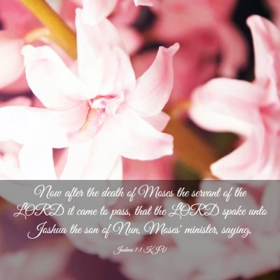 Picture 03 - Joshua 1:1 KJV - Now after the death of Moses the servant of the - Bible Verse Picture