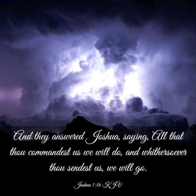 Picture 03 - Joshua 1:16 KJV - And they answered Joshua, saying, All that thou - Bible Verse Picture