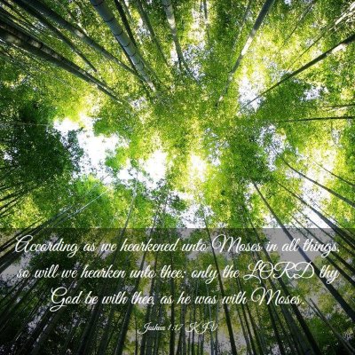 Picture 03 - Joshua 1:17 KJV - According as we hearkened unto Moses in all - Bible Verse Picture