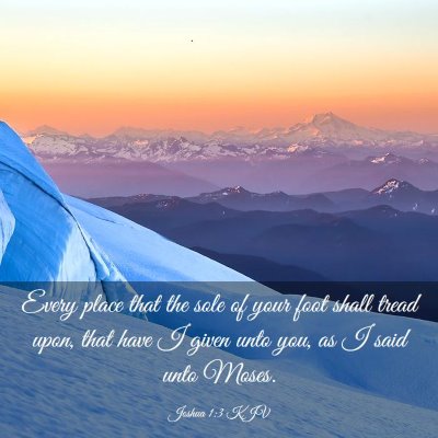 Picture 03 - Joshua 1:3 KJV - Every place that the sole of your foot shall - Bible Verse Picture
