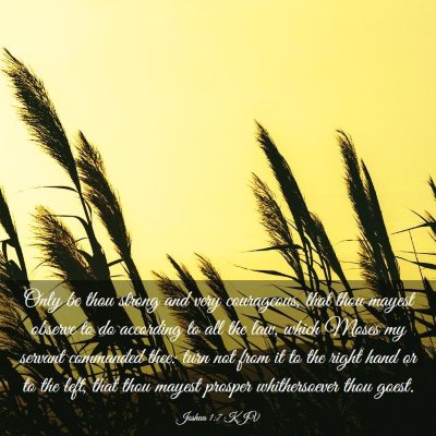 Picture 03 - Joshua 1:7 KJV - Only be thou strong and very courageous, that - Bible Verse Picture