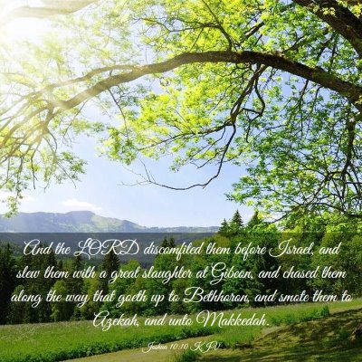 Picture 03 - Joshua 10:10 KJV - And the LORD discomfited them before Israel, and - Bible Verse Picture