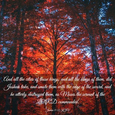 Picture 03 - Joshua 11:12 KJV - And all the cities of those kings, and all the - Bible Verse Picture