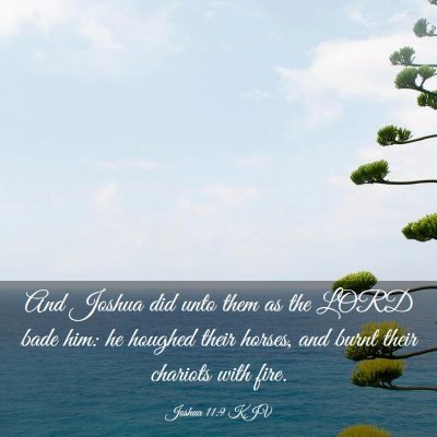 Picture 03 - Joshua 11:9 KJV - And Joshua did unto them as the LORD bade him: he - Bible Verse Picture