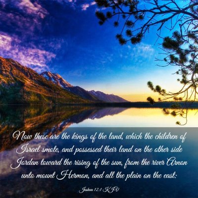 Picture 03 - Joshua 12:1 KJV - Now these are the kings of the land, which the - Bible Verse Picture