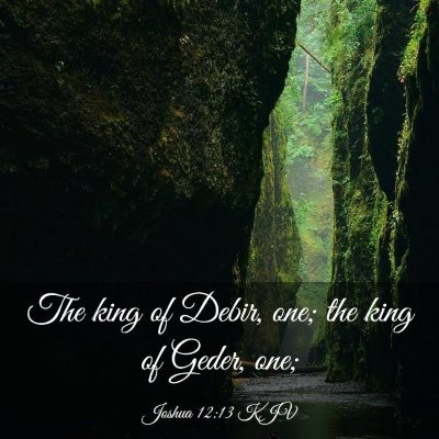 Picture 03 - Joshua 12:13 KJV - The king of Debir, one; the king of Geder, - Bible Verse Picture