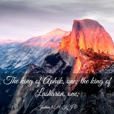 Picture 03 - Joshua 12:18 KJV - The king of Aphek, one; the king of Lasharon, - Bible Verse Picture
