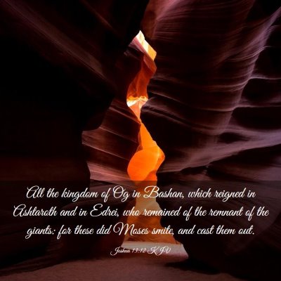 Picture 03 - Joshua 13:12 KJV - All the kingdom of Og in Bashan, which reigned in - Bible Verse Picture