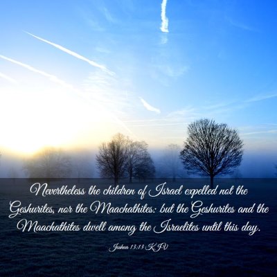 Picture 03 - Joshua 13:13 KJV - Nevertheless the children of Israel expelled not - Bible Verse Picture