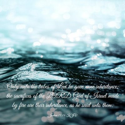 Picture 03 - Joshua 13:14 KJV - Only unto the tribes of Levi he gave none - Bible Verse Picture