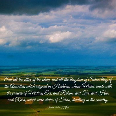 Picture 03 - Joshua 13:21 KJV - And all the cities of the plain, and all the - Bible Verse Picture