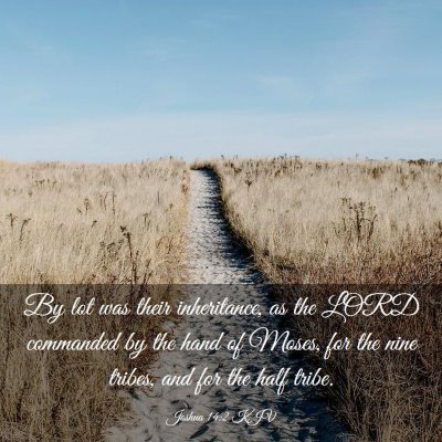 Picture 03 - Joshua 14:2 KJV - By lot was their inheritance, as the LORD - Bible Verse Picture