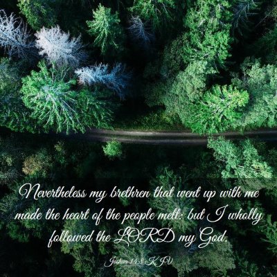 Picture 03 - Joshua 14:8 KJV - Nevertheless my brethren that went up with me - Bible Verse Picture