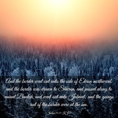 Picture 03 - Joshua 15:11 KJV - And the border went out unto the side of Ekron - Bible Verse Picture