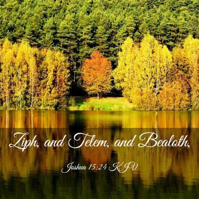 Picture 03 - Joshua 15:24 KJV - Ziph, and Telem, and - Bible Verse Picture