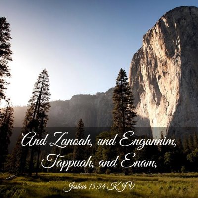 Picture 03 - Joshua 15:34 KJV - And Zanoah, and Engannim, Tappuah, and - Bible Verse Picture