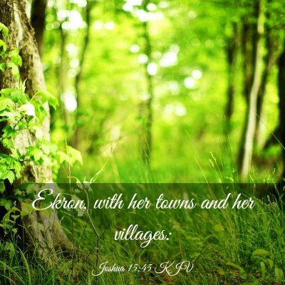 Picture 03 - Joshua 15:45 KJV - Ekron, with her towns and her - Bible Verse Picture