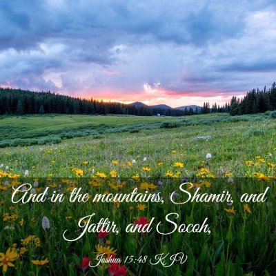 Picture 03 - Joshua 15:48 KJV - And in the mountains, Shamir, and Jattir, and - Bible Verse Picture