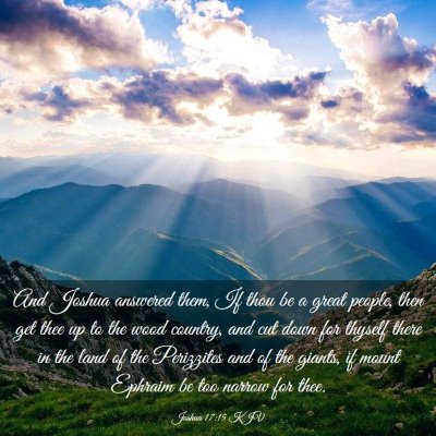 Picture 03 - Joshua 17:15 KJV - And Joshua answered them, If thou be a great - Bible Verse Picture